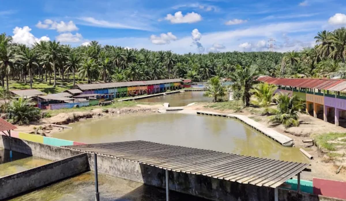 Teluk Sengat Crocodile Farm